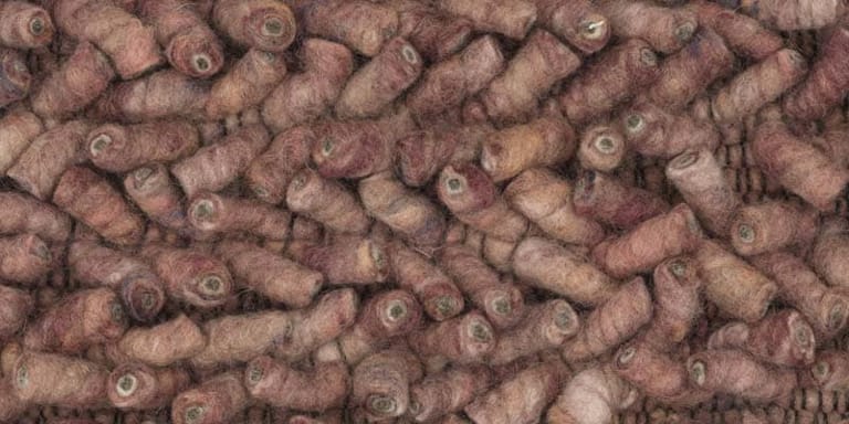 Africa-Luxor-Farbe_1216