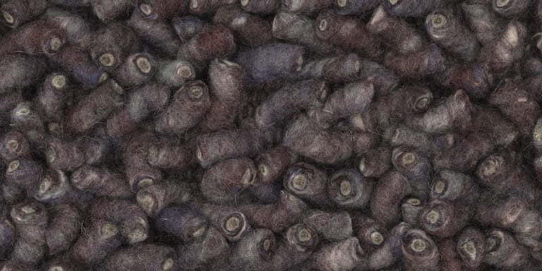 Africa-Luxor-Farbe_1499