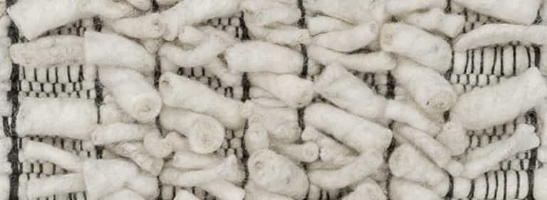 Africa-Pretoria-Farbe_1003