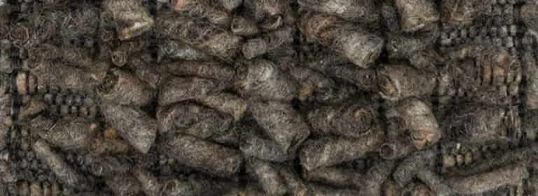 Africa-Pretoria-Farbe_1038