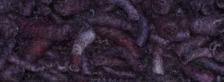 Africa-Pretoria-Farbe_1099