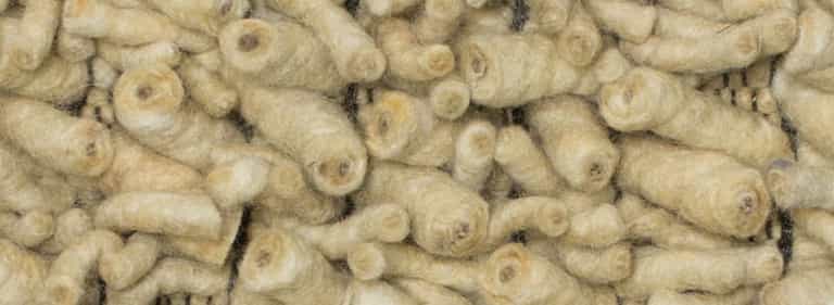 Africa-Pretoria-Farbe_1124