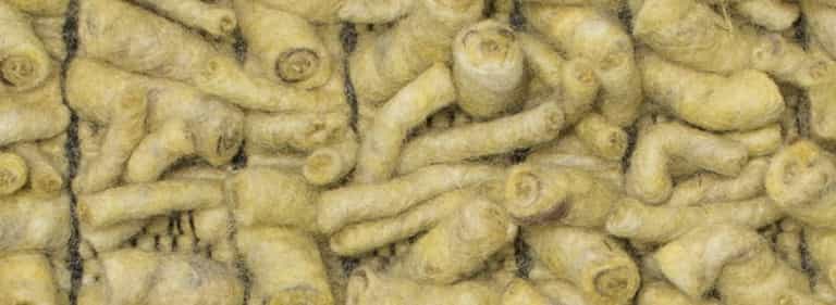 Africa-Pretoria-Farbe_1127