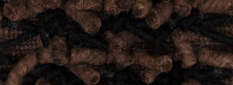 Africa-Pretoria-Farbe_1168_1088