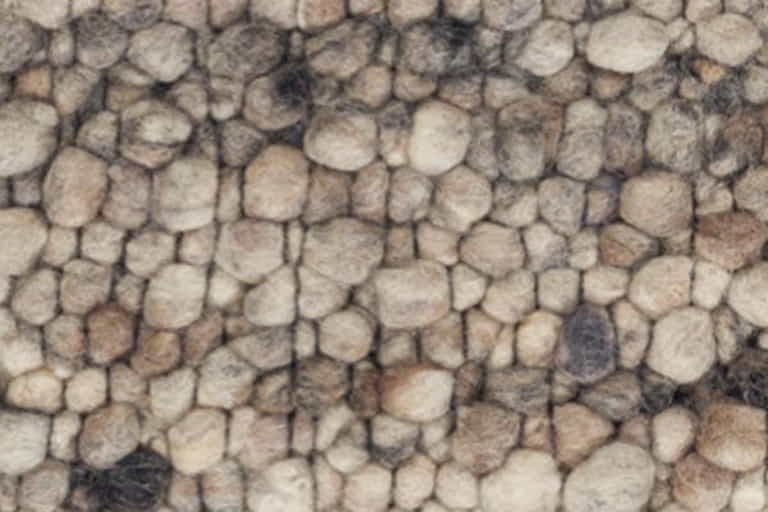 Beat-Swing-Patchwork-Farbe_136