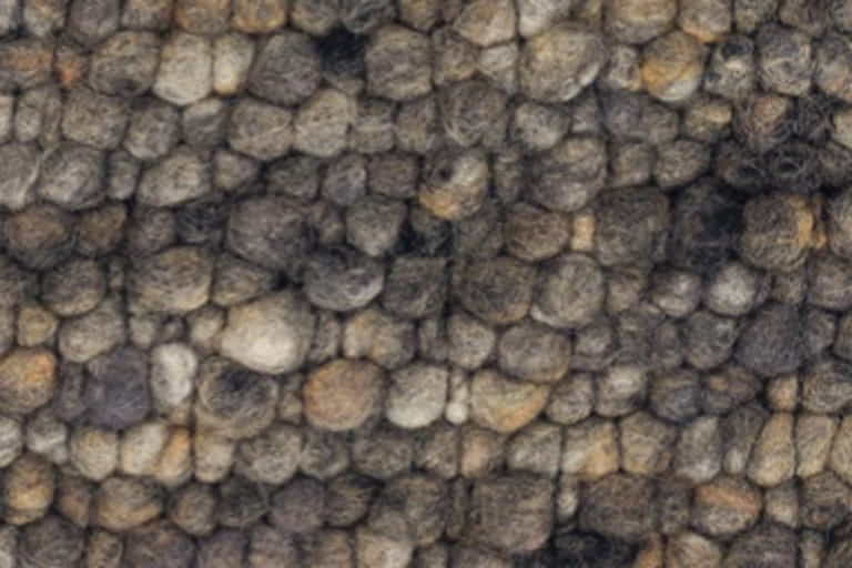 Beat-Swing-Patchwork-Farbe_38