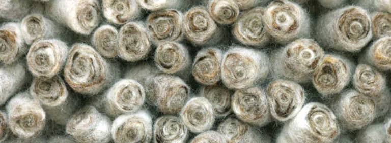 City-Halifax-Farbe_1104