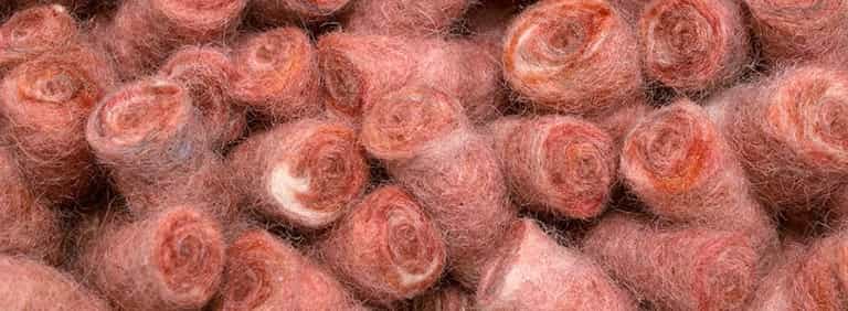 City-Halifax-Farbe_1111