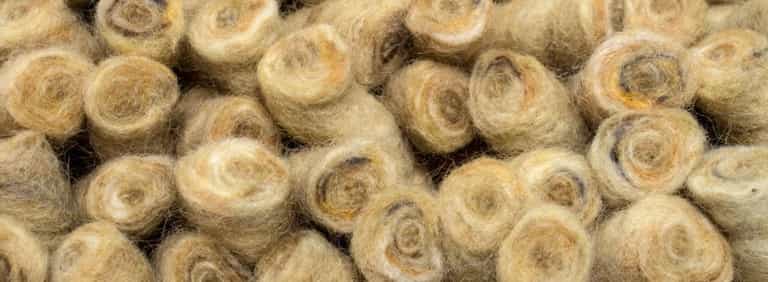 City-Halifax-Farbe_1124