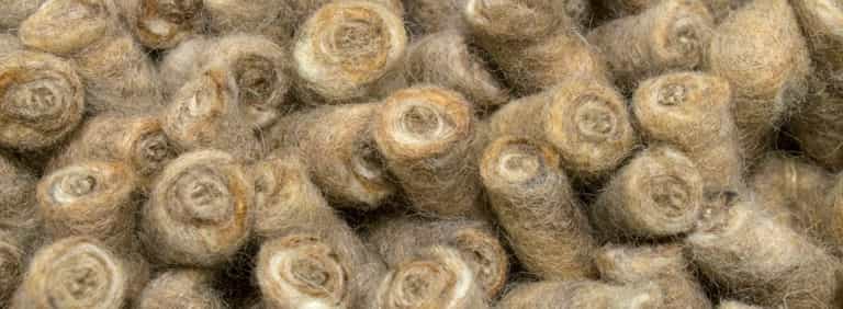 City-Halifax-Farbe_1162