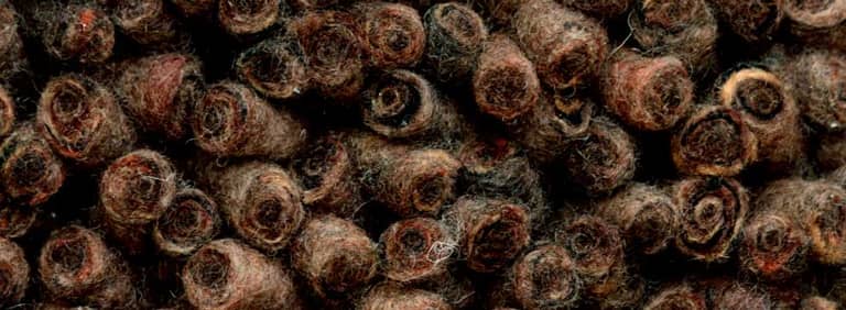 City-Halifax-Farbe_1168