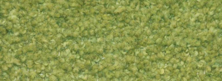 City-Kyoto-Farbe_1040