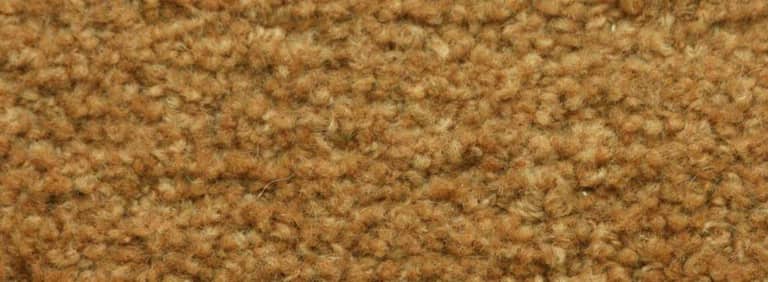 City-Kyoto-Farbe_1060