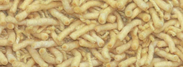 City-Miami-Farbe_1120