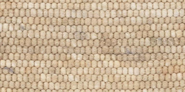 City-Pacora-Farbe_1124