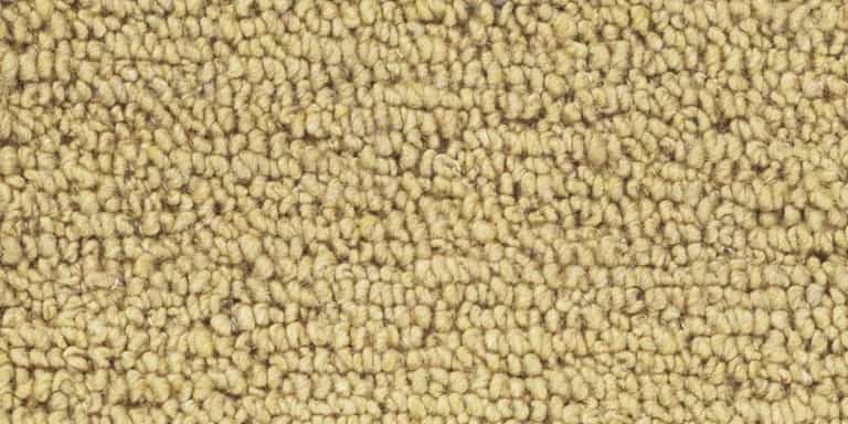 Emotion-Joy-Farbe_127