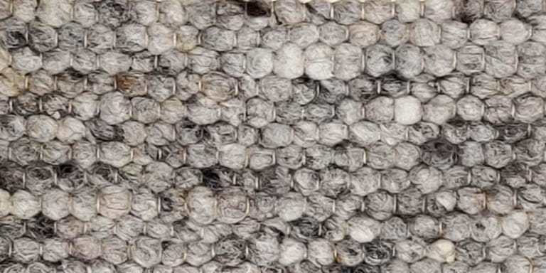 Natural-Smooth-Farbe_1568