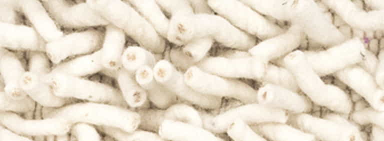 Salsa-Flor-Farbe_100_100