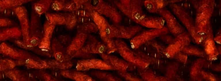 Salsa-Flor-Farbe_10_10