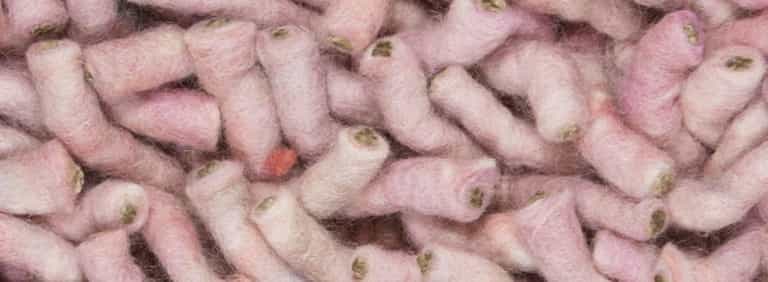 Salsa-Flor-Farbe_110_110