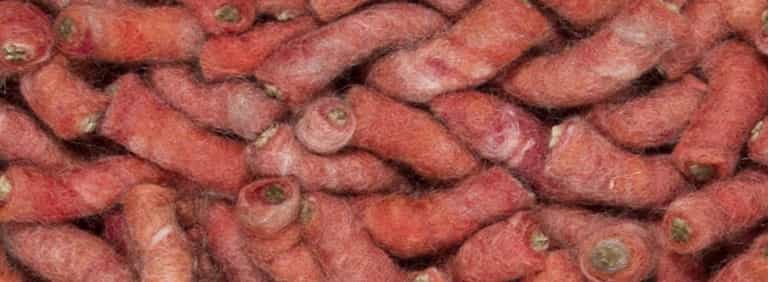 Salsa-Flor-Farbe_113_113