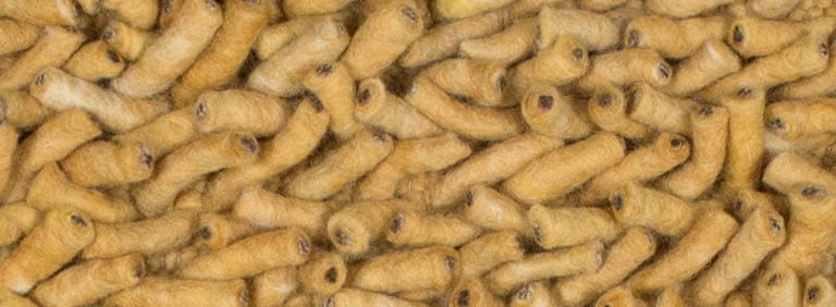 Salsa-Flor-Farbe_122_122