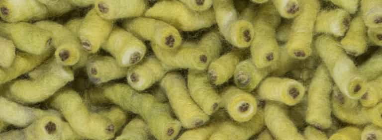 Salsa-Flor-Farbe_123_123