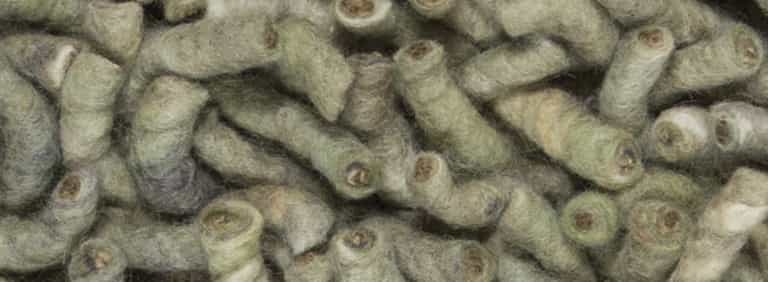 Salsa-Flor-Farbe_140_140