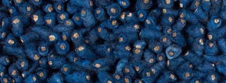 Salsa-Flor-Farbe_158_158