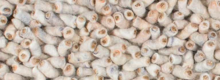 Salsa-Flor-Farbe_178_178