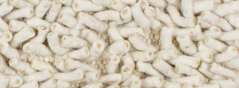 Salsa-Flor-Farbe_1_1