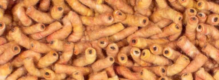 Salsa-Flor-Farbe_20_20