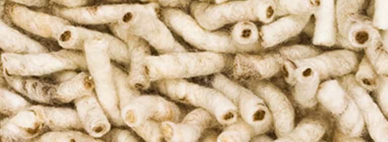 Salsa-Flor-Farbe_2_2