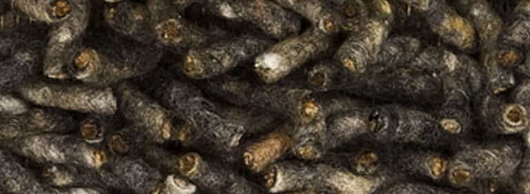 Salsa-Flor-Farbe_38_38