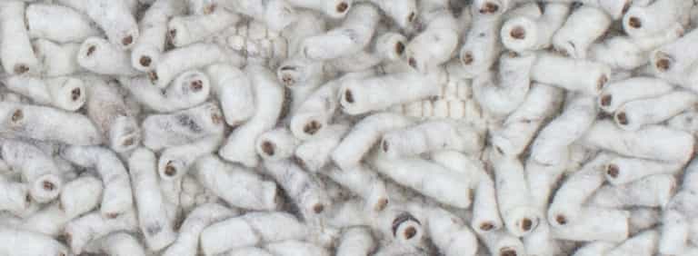 Salsa-Flor-Farbe_3_3