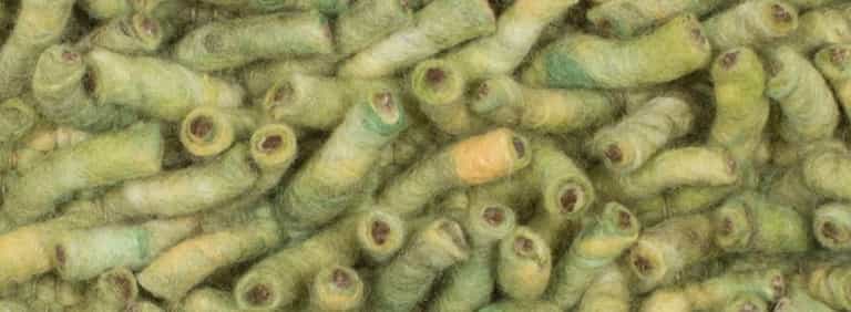 Salsa-Flor-Farbe_40_40