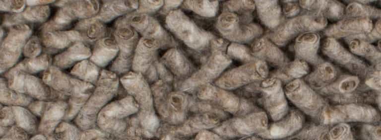 Salsa-Flor-Farbe_4_4