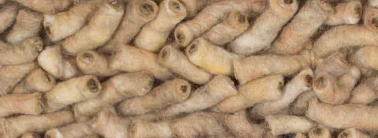 Salsa-Flor-Farbe_62_62