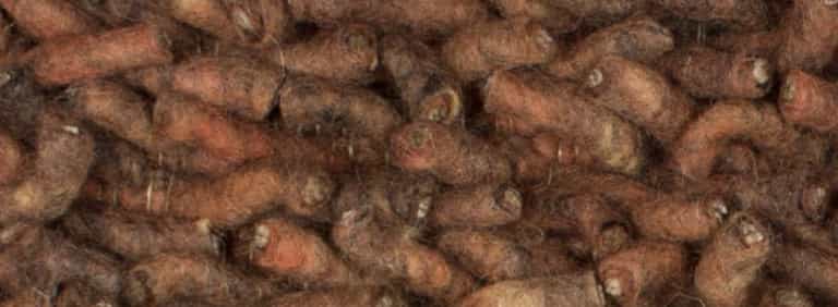 Salsa-Flor-Farbe_66_66