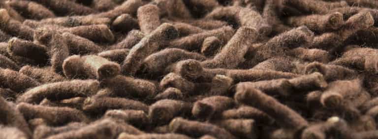 Salsa-Flor-Farbe_68_68