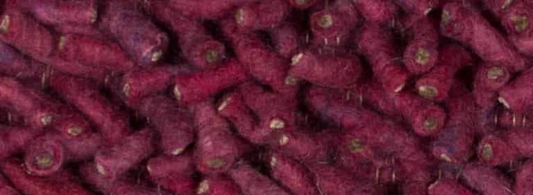 Salsa-Flor-Farbe_91_91