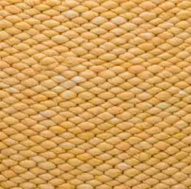 Salsa-Limone-Farbe_120